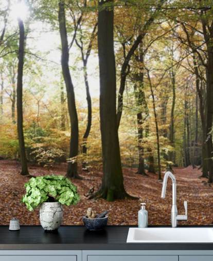 Papier peint Woodland Papier peint Woodland
