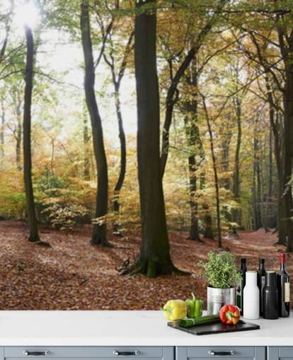 Woodland Wallpaper