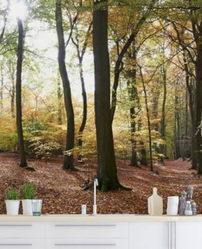 Papel Pintado Woodland