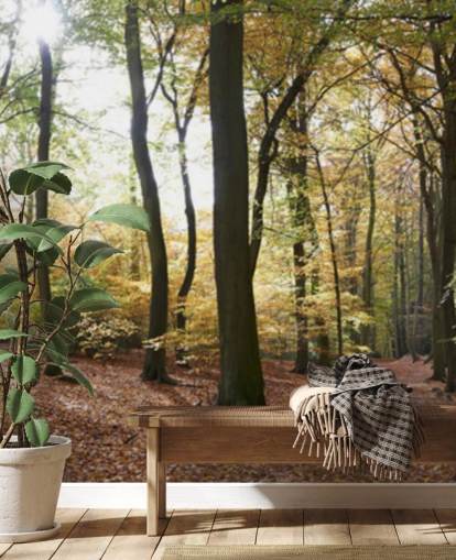 Woodland Hintergrundbild