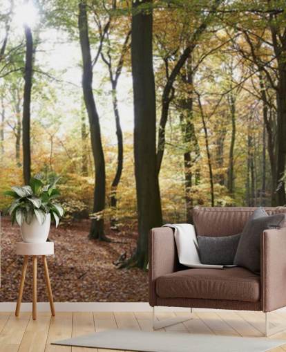 Woodland Hintergrundbild Woodland Hintergrundbild