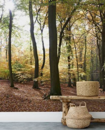Woodland Wallpaper Woodland Wallpaper