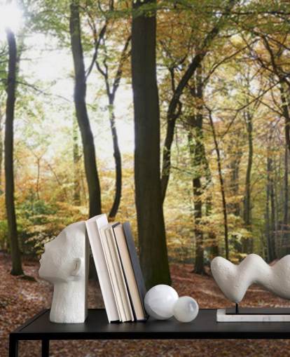 Woodland Hintergrundbild