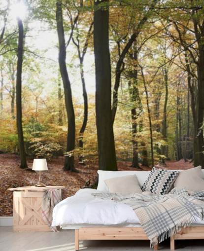 Carta da parati Woodland