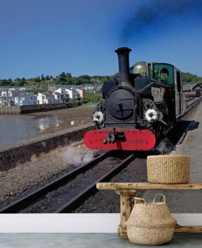 Grønn Steam tog ved kysten Bakgrunn