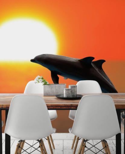 Delfines saltando al atardecer Fondo de pantalla