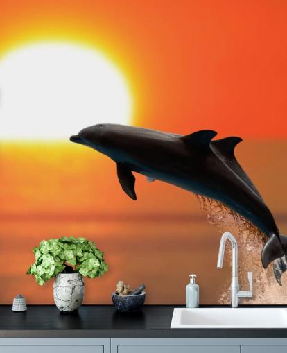 Papier peint dauphins sauteurs au coucher du soleil
