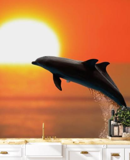 Jumping Dolphins at Sunset Wallpaper