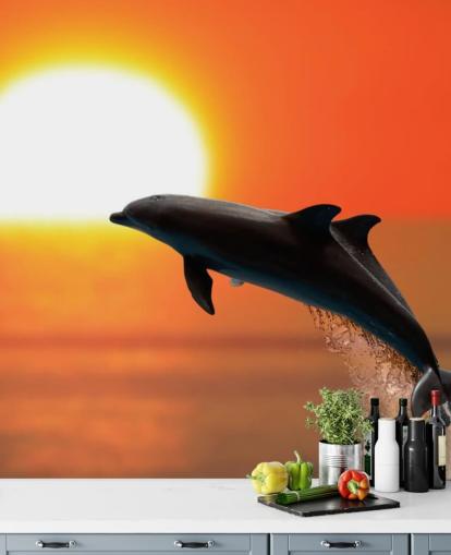 Jumping Dolphins at Sunset Wallpaper