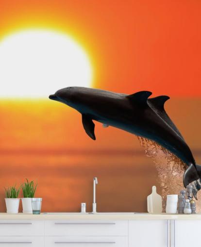 Papel de Parede Jumping Dolphins at Sunset Papel de Parede Jumping Dolphins at Sunset