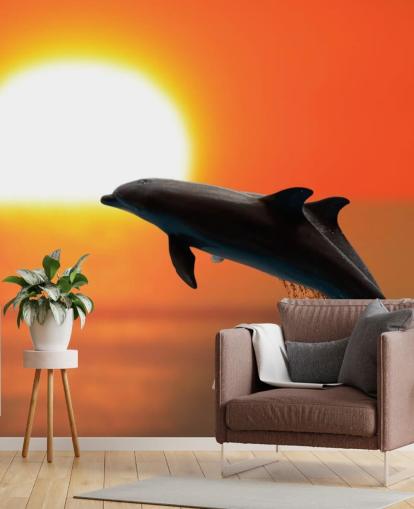 Delfines saltando al atardecer Fondo de pantalla