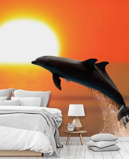 Delfines saltando al atardecer Fondo de pantalla Delfines saltando al atardecer Fondo de pantalla