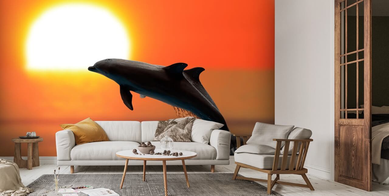 Dolphins at Sunset Wall Mural | Wallsauce US, image size:1280x645