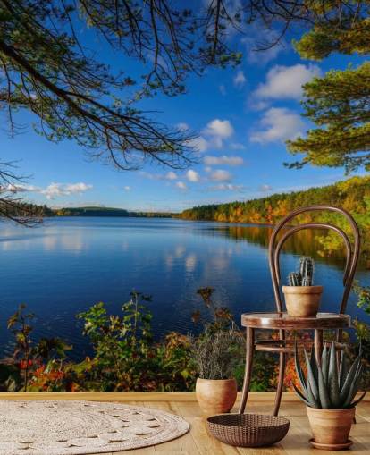 Beautiful Lake Side of Forest Wall Mural