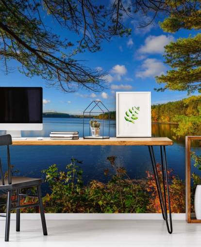 Decorazione murale con bellissimo lago della foresta