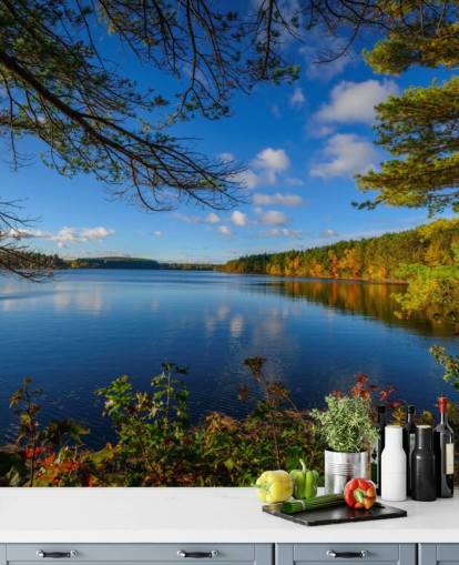 Beautiful Lake Side of Forest Wall Mural