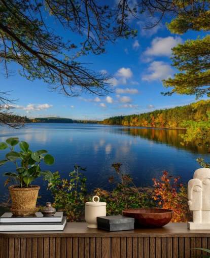 Beautiful Lake Side of Forest Wall Mural Beautiful Lake Side of Forest Wall Mural