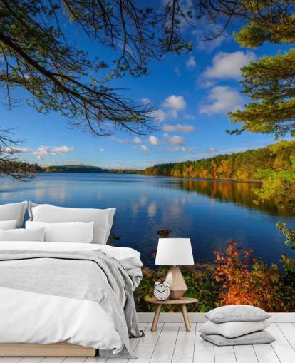 Beautiful Lake Side of Forest Wall Mural