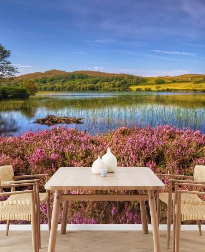 Scottish Lake Bakgrund