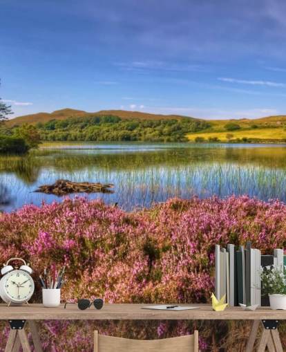 Scottish Lake Baggrund