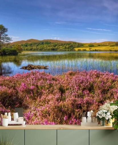 Scottish Lake Bakgrund