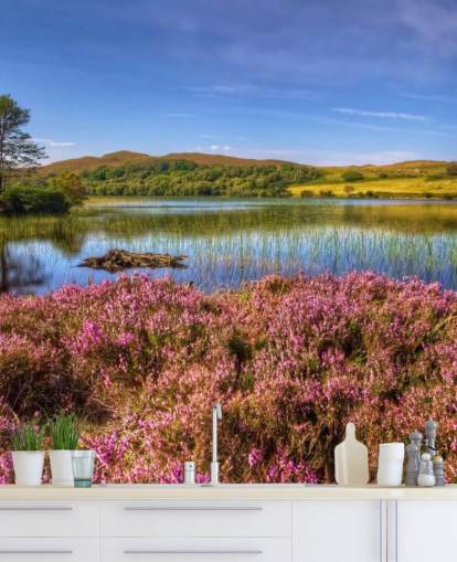 Scottish Lake Bakgrund