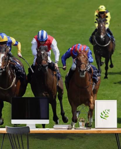 Horse Racing Bakgrunn Horse Racing Bakgrunn