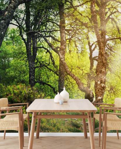 Papel de parede Woodland