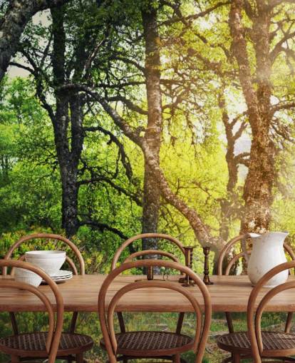 Papel de parede Woodland Papel de parede Woodland