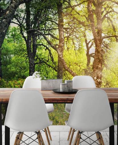 Papel Pintado Woodland