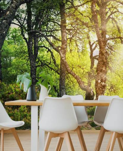Woodland behang Woodland behang