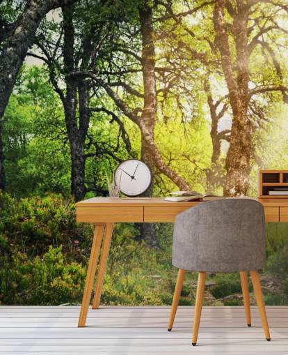 Woodland Wallpaper Woodland Wallpaper