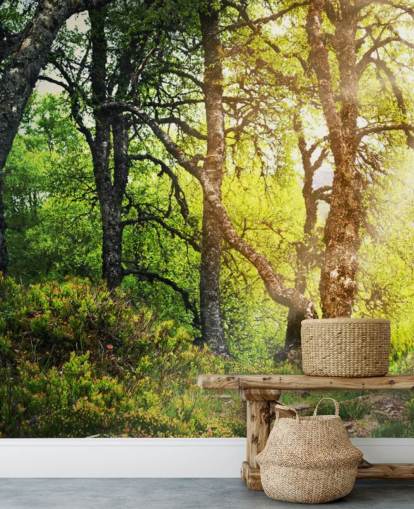 Papel de parede Woodland