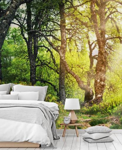 Woodland Wallpaper Woodland Wallpaper