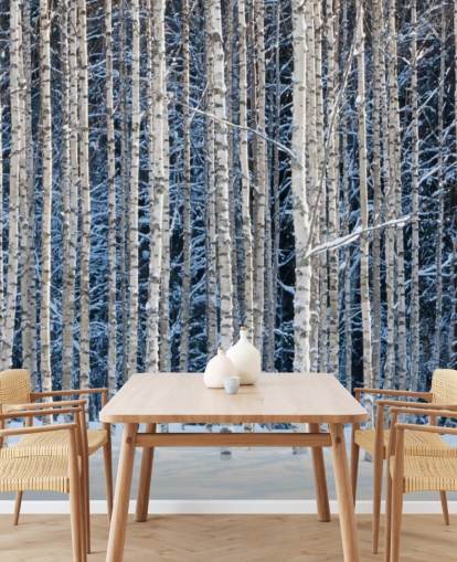 carta da parati murale con foresta invernale chiamata Snowy Birch Forest per camere da letto carta da parati murale con foresta invernale chiamata Snowy Birch Forest per camere da letto