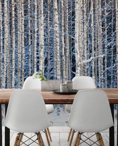 winter forest wallpaper mural called Snowy Birch Forest for bedrooms