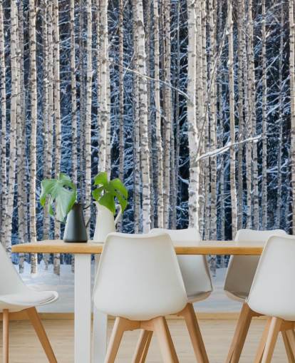 vinterskov tapetmaleri kaldet Snowy Birch Forest til soveværelser