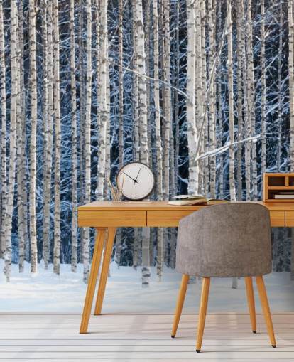 vinterskog tapet veggmaleri kalt Snowy Birch Forest for soverom vinterskog tapet veggmaleri kalt Snowy Birch Forest for soverom