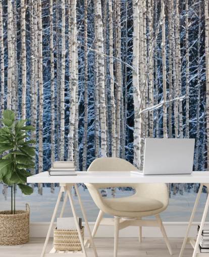 winter forest wallpaper mural called Snowy Birch Forest for bedrooms