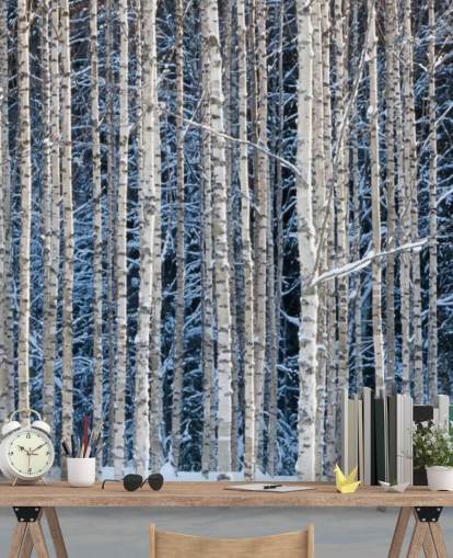 vinterskog tapet veggmaleri kalt Snowy Birch Forest for soverom