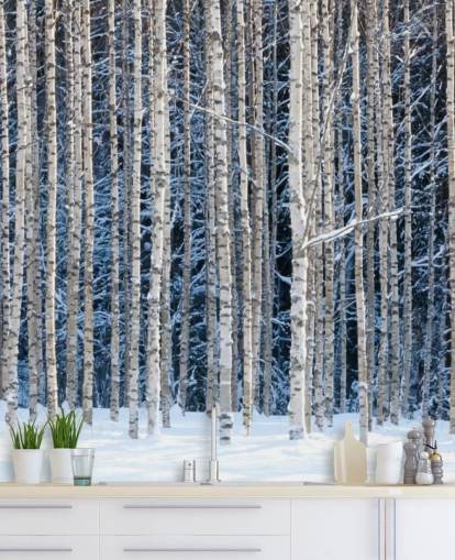 vinterskog tapetväggmålning kallad Snowy Birch Forest för sovrum