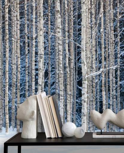 Winterwald-Wandbild namens Snowy Birch Forest für Schlafzimmer