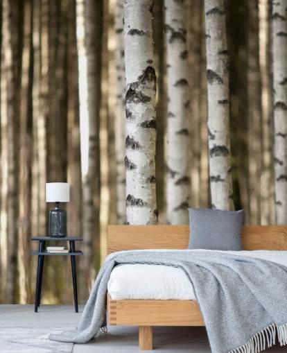 Silver Birch Tapete Silver Birch Tapete