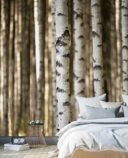 Silver Birch Wallpaper