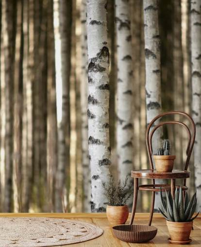 Silver Birch Wallpaper