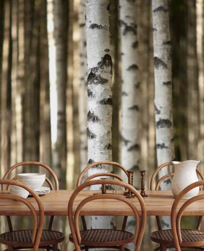 Silver Birch Wallpaper Silver Birch Wallpaper