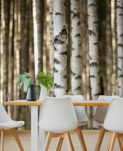 Silver Birch Wallpaper
