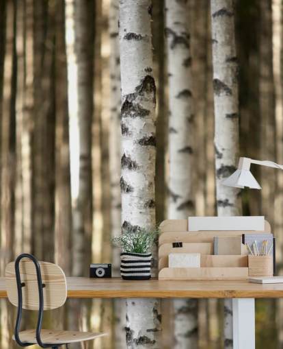Papier peint Silver Birch