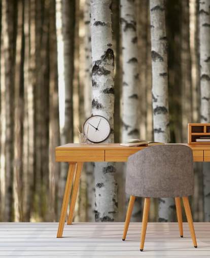 Silver Birch Wallpaper