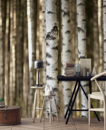 Silver Birch Wallpaper